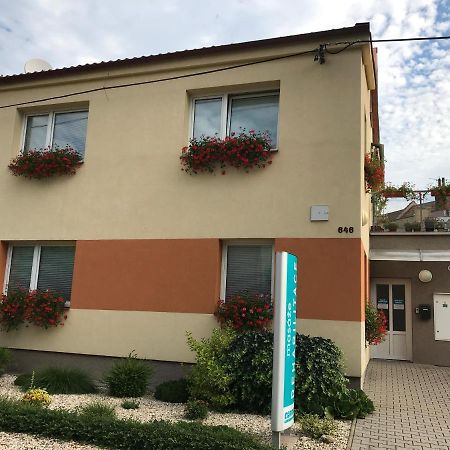 Apartment Corriger Ústí nad Orlicí Exterior foto